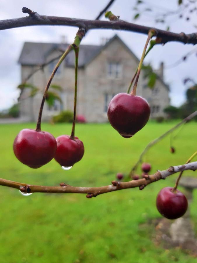 Lorum Old Rectory Bagenalstown Extérieur photo