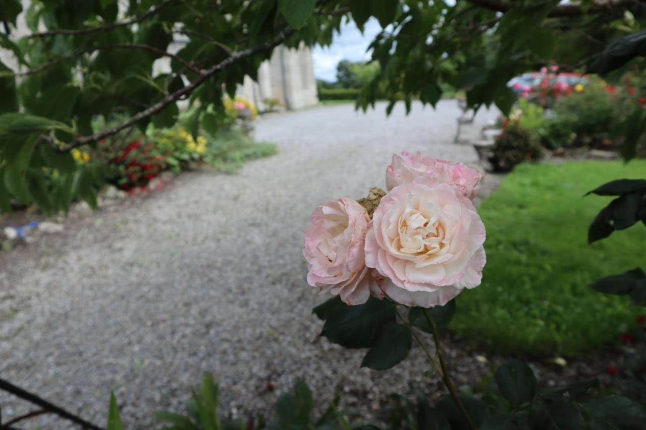 Lorum Old Rectory Bagenalstown Extérieur photo